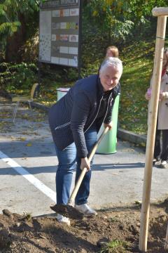 Rožnati oktober, zasaditev drevesa, 21.10. 2024 (6)